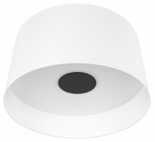Потолочный светильник Loft IT Duo 10360L White