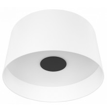 Потолочный светильник Loft IT Duo 10360L White