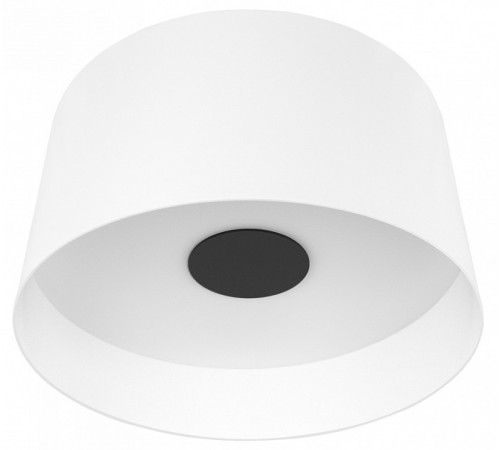 Потолочный светильник Loft IT Duo 10360L White Потолочный светильник Loft IT Duo 10360L White