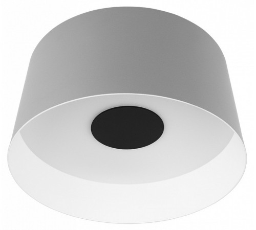 Потолочный светильник Loft IT Duo 10360M Grey Потолочный светильник Loft IT Duo 10360M Grey