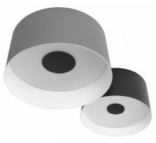 Потолочный светильник Loft IT Duo 10360/2