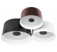 Потолочный светильник Loft IT Duo 10360/3