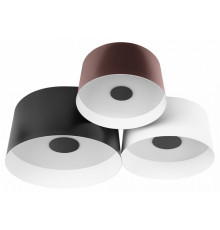 Потолочный светильник Loft IT Duo 10360/3