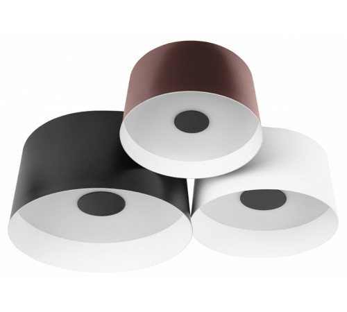 Потолочный светильник Loft IT Duo 10360/3 Потолочный светильник Loft IT Duo 10360/3