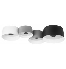 Потолочный светильник Loft IT Duo 10360/4