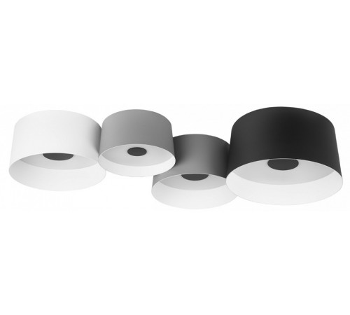 Потолочный светильник Loft IT Duo 10360/4 Потолочный светильник Loft IT Duo 10360/4