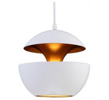 Подвесной светильник Loft IT LOFT2213-A