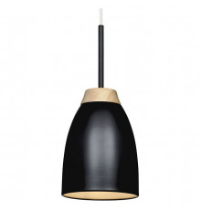 Подвесной светильник LOFT IT Watchman Loft4402A-Bl