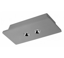 Потолочный светодиодный светильник Loft IT Architect OL1072-GH/2