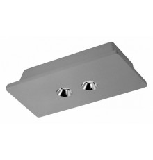 Потолочный светодиодный светильник Loft IT Architect OL1072-GH/2