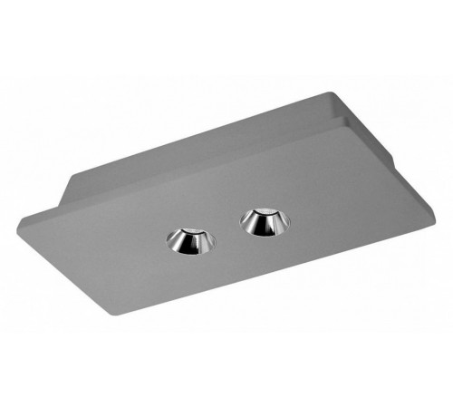 Потолочный светодиодный светильник Loft IT Architect OL1072-GH/2