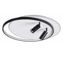 Потолочная люстра Lumion Naoko 5603/75CL