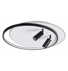 Потолочная люстра Lumion Naoko 5603/75CL