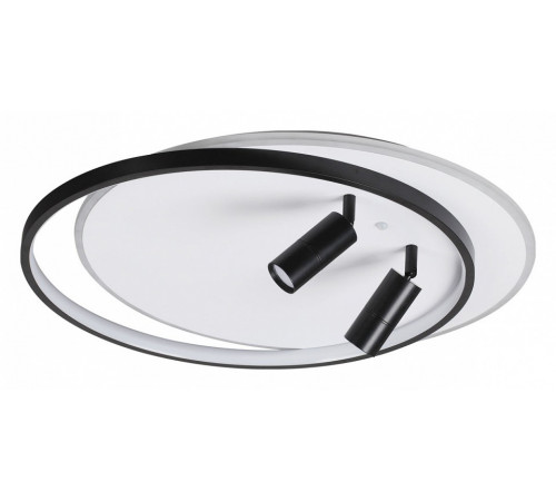 Потолочная люстра Lumion Naoko 5603/75CL