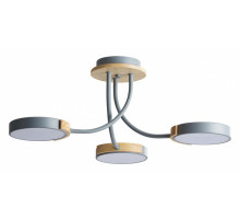 Потолочная люстра Lumion Arley 5655/54CL