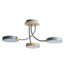 Потолочная люстра Lumion Arley 5655/54CL