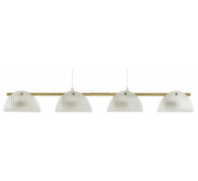 Подвесная люстра Lumion Fioro 6571/4C