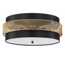 Потолочный светильник Lumion Animaisa 8003/6C