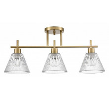 Потолочный светильник Lumion Vivian 8188/3C