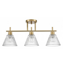 Потолочный светильник Lumion Vivian 8188/3C