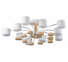 Люстра на штанге Lumion Rondo 8196/10C