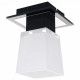 Потолочный светильник Lussole Lente LSC-2507-01