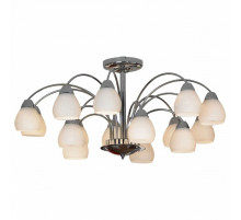Потолочная люстра Lussole Apiro LSF-2403-15