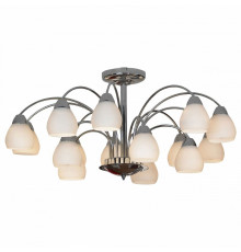 Потолочная люстра Lussole Apiro LSF-2403-15
