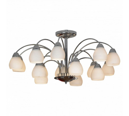 Потолочная люстра Lussole Apiro LSF-2403-15