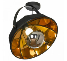 Потолочный светильник Lussole Lgo Klamath LSP-0556-C
