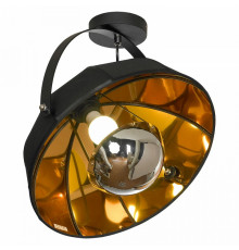 Потолочный светильник Lussole Lgo Klamath LSP-0556-C
