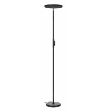 Торшер Lussole Carmel LSP-0901-SE
