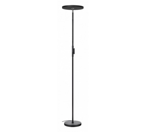 Торшер Lussole Carmel LSP-0901-SE