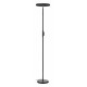 Торшер Lussole Carmel LSP-0901-SE