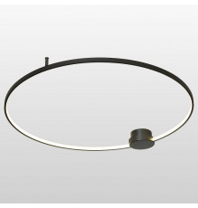 Потолочная люстра Lussole Lowell LSP-7110