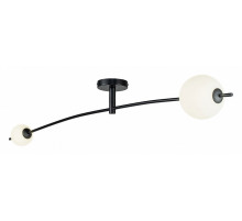 Потолочный светильник Lussole Hart LSP-7207
