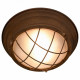 Потолочный светильник Lussole Loft LSP-8068