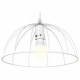 Подвесной светильник Lussole Lgo Lattice LSP-8214