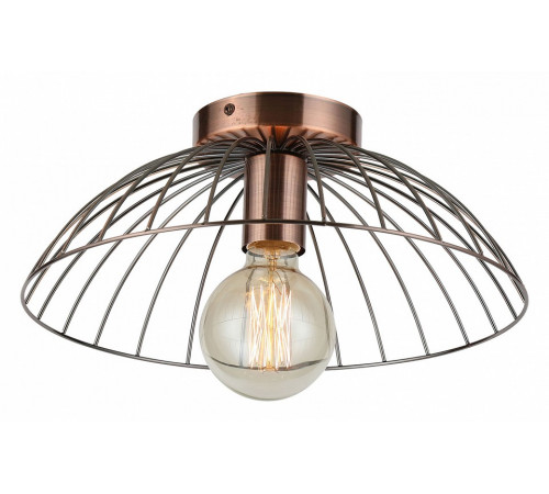 Накладной светильник Lussole Loft Brooks LSP-8249 Накладной светильник Lussole Loft Brooks LSP-8249