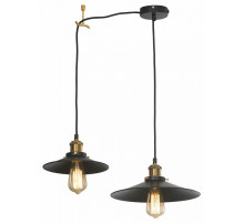 Подвесной светильник Lussole LOFT New York LSP-9601-2L