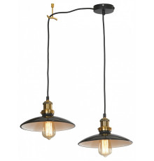 Подвесной светильник Lussole LOFT Glen Cove LSP-9604-2