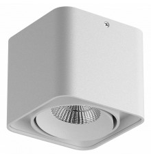 Потолочный светильник Lightstar Monocco 212516
