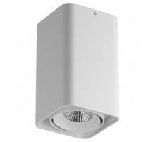 Потолочный светильник Lightstar Monocco 212536