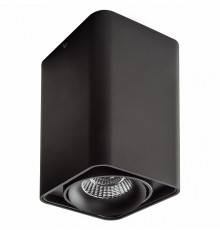 Потолочный светильник Lightstar Monocco 212537