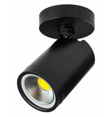 Спот Lightstar Rullo 213407