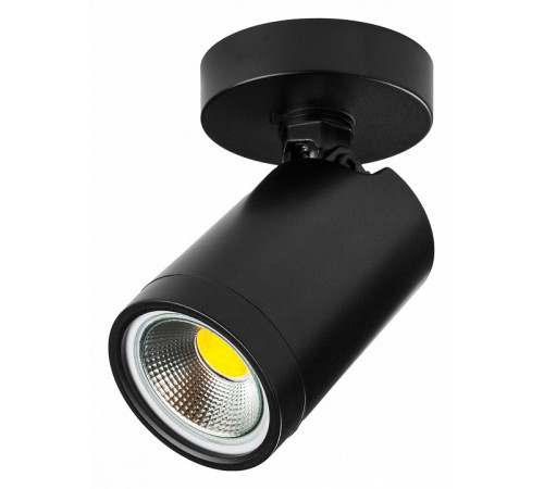 Спот Lightstar Rullo 213407 Спот Lightstar Rullo 213407