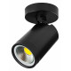 Спот Lightstar Rullo 213407