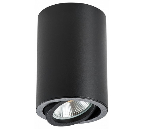 Накладной светильник Lightstar Rullo 214407