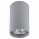 Потолочный светильник Lightstar Rullo 214439