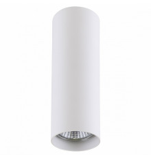 Потолочный светильник Lightstar Rullo 214496